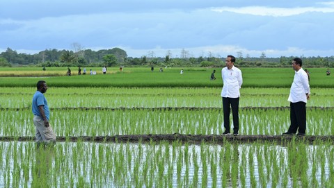 Pupuk Indonesia Jadikan Merauke Lumbung Pangan Nasional