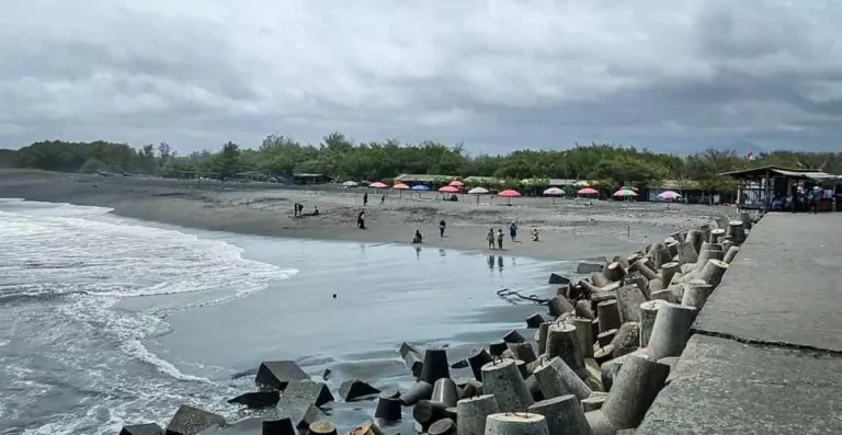 Wisatawan Domestik Jalan-Jalan ke Pantai Glagah